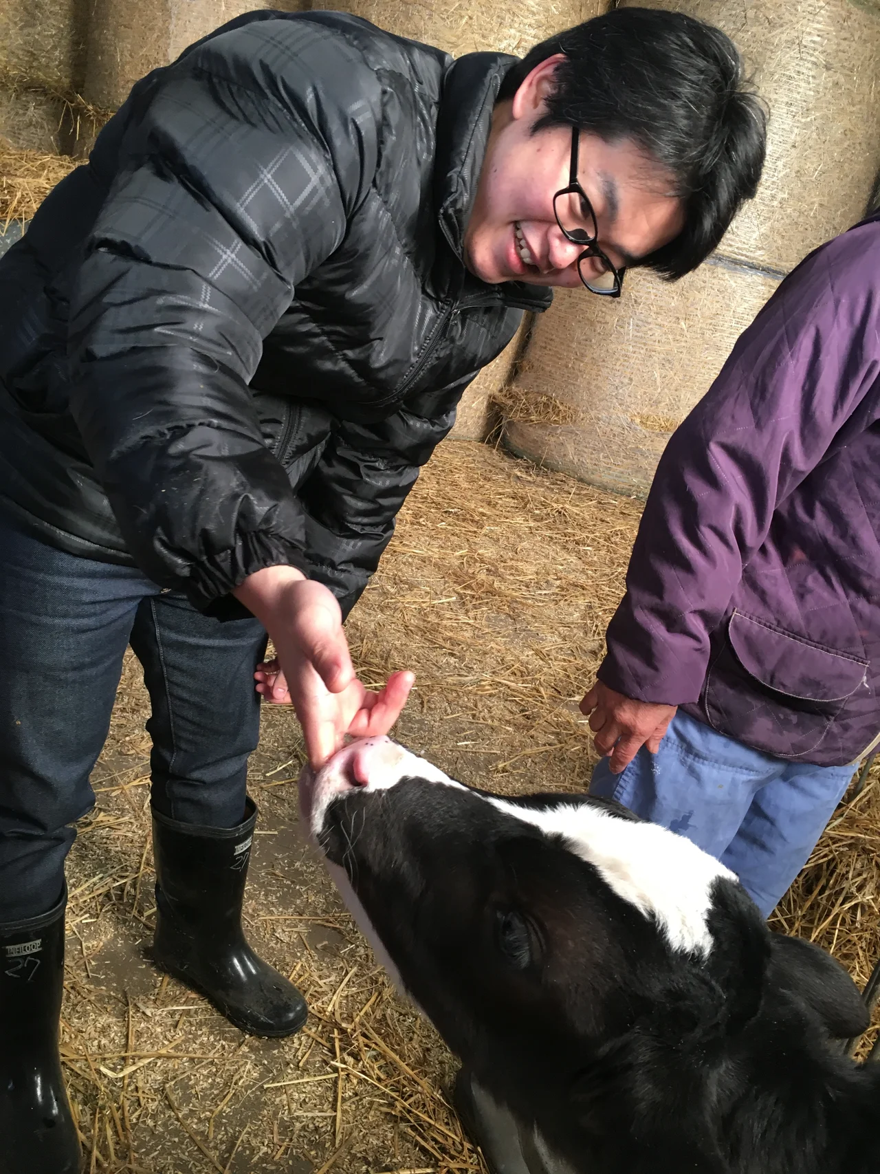 子牛とふれあう様子