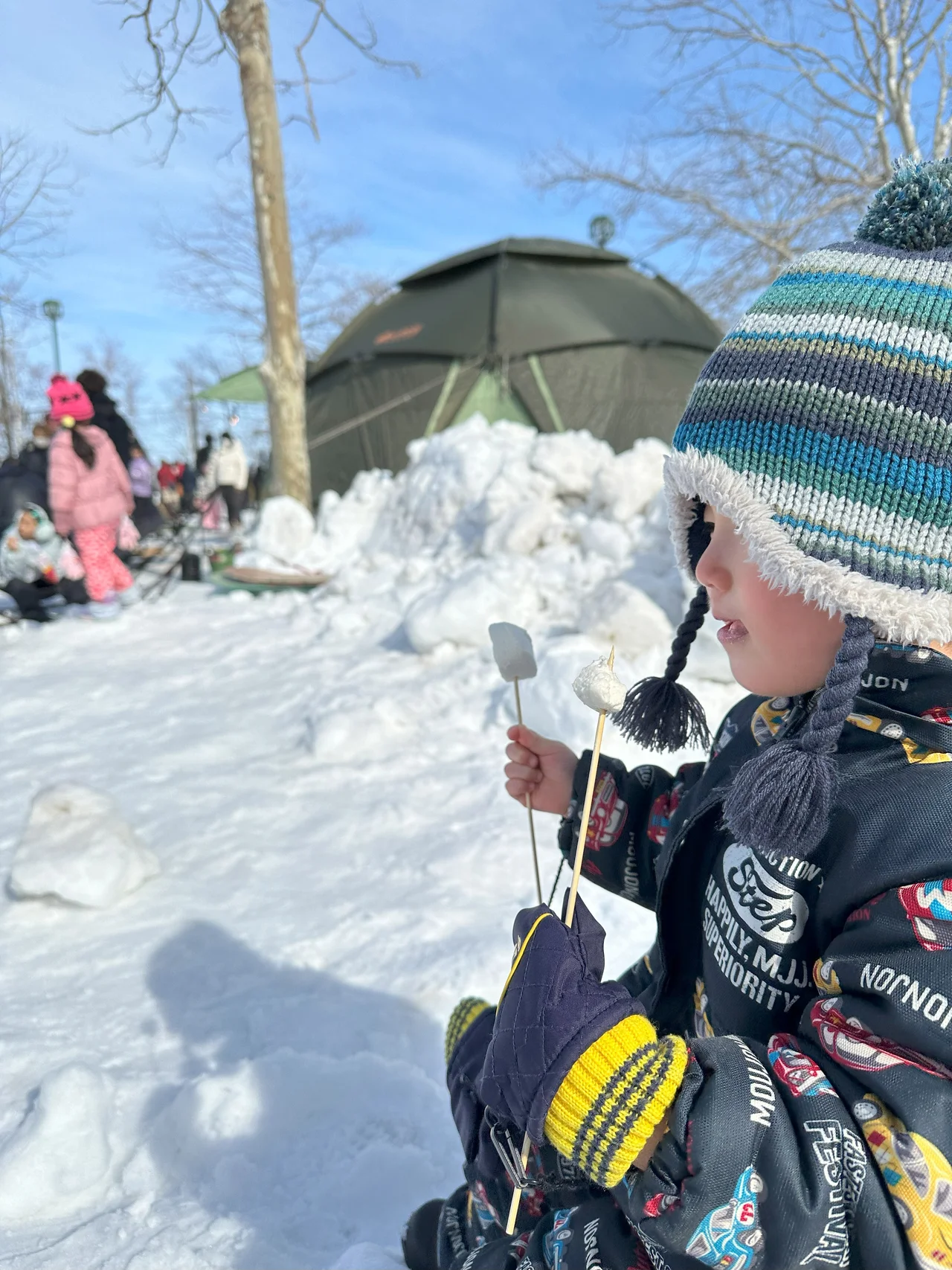 焚火でマシュマロ焼き
