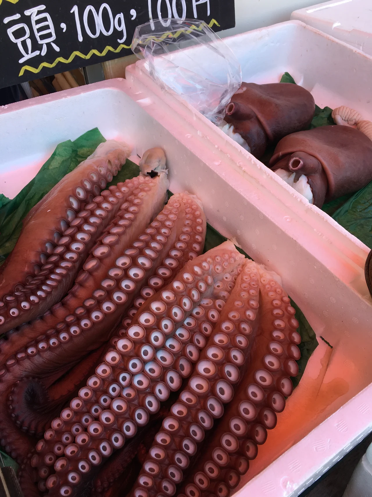 大きなタコの足のディテール