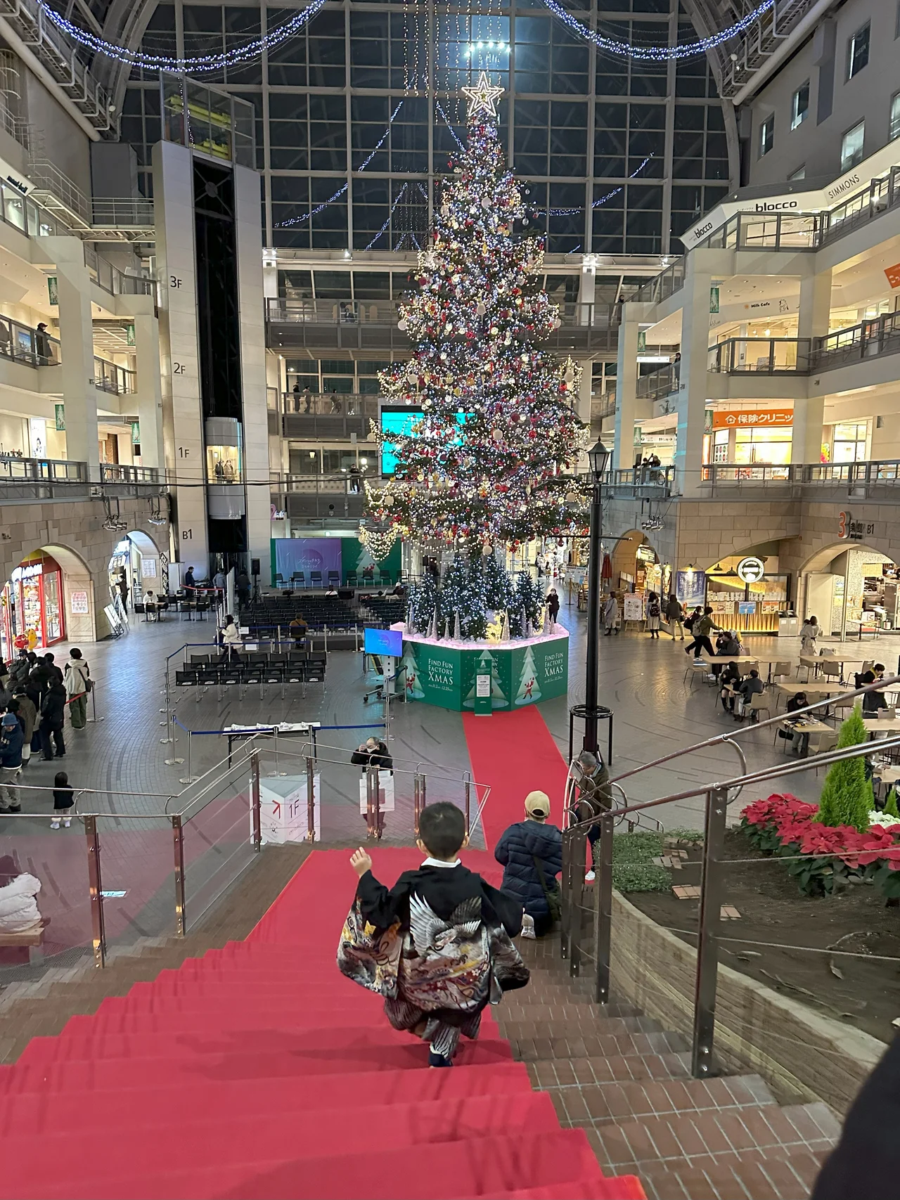 七五三とツリー